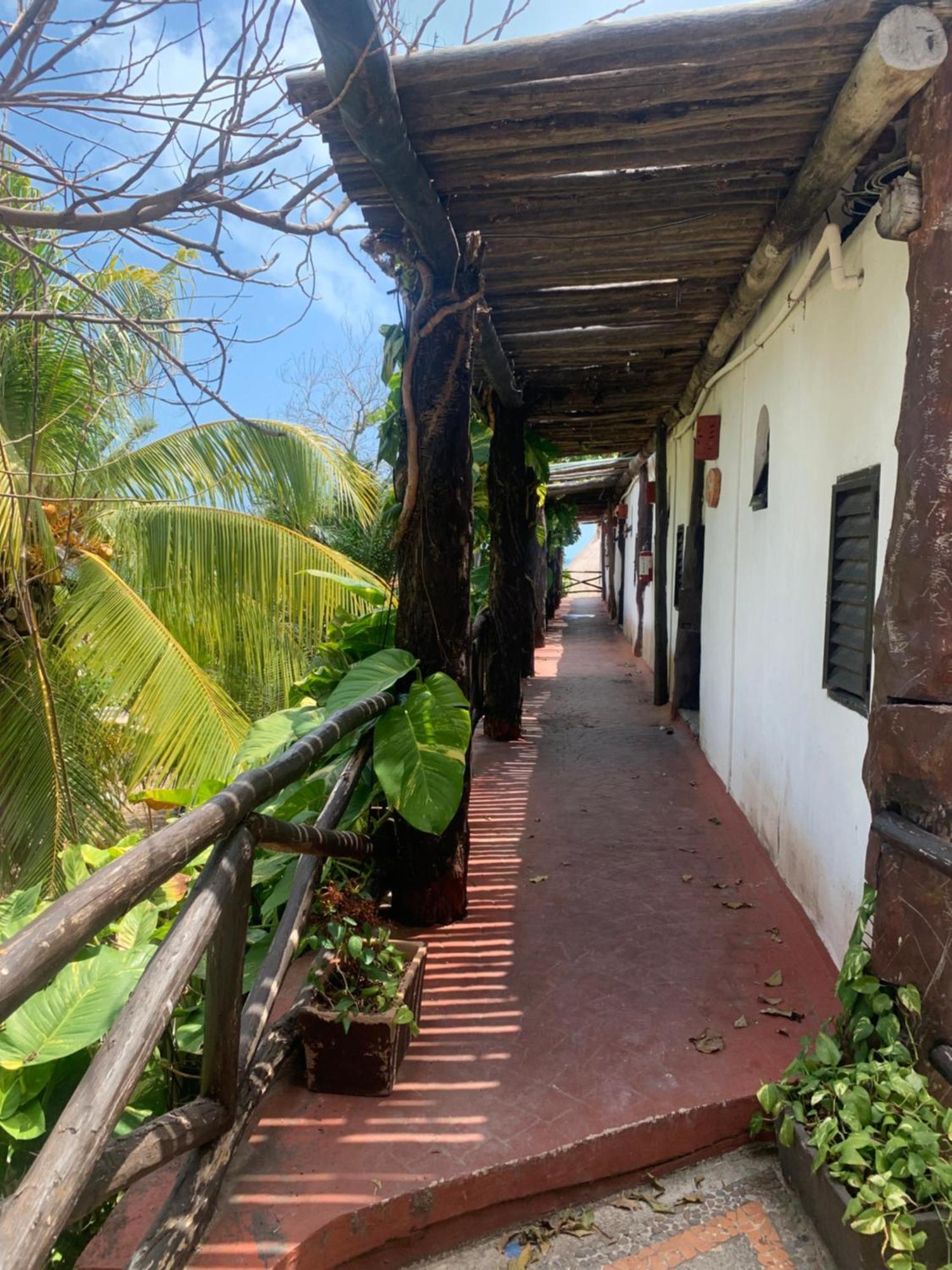 Casa Caribe קנקון מראה חיצוני תמונה A typical corridor in the hotel