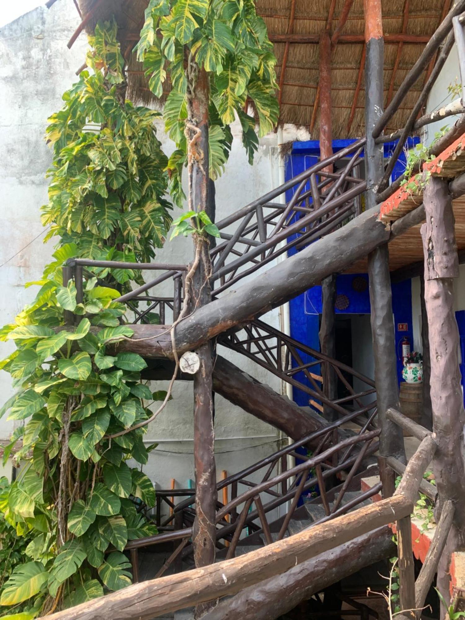 Casa Caribe קנקון מראה חיצוני תמונה Bamboo staircase