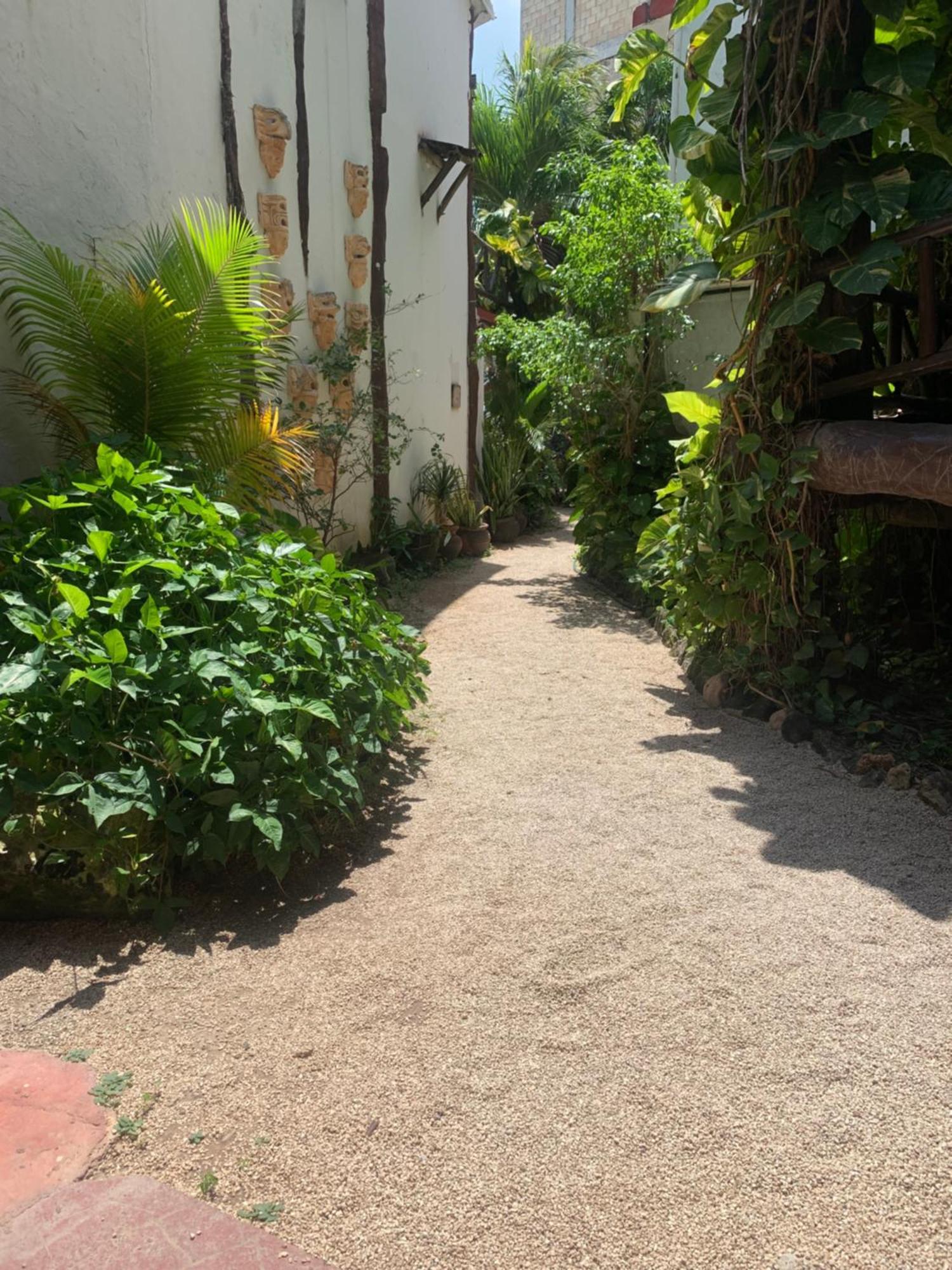 Casa Caribe קנקון מראה חיצוני תמונה A typical alleyway in Tulum