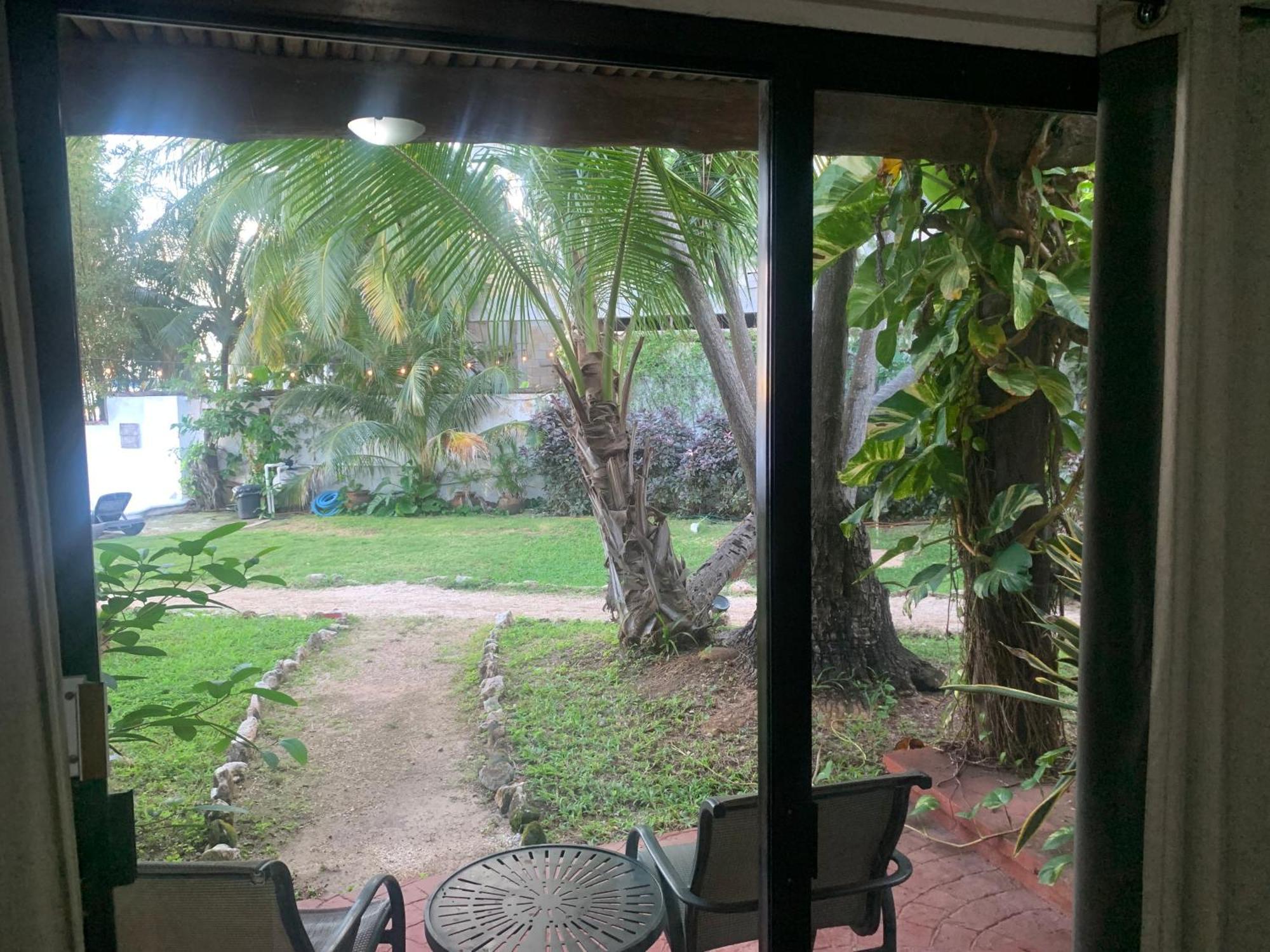 Casa Caribe קנקון מראה חיצוני תמונה View of the garden from the living room